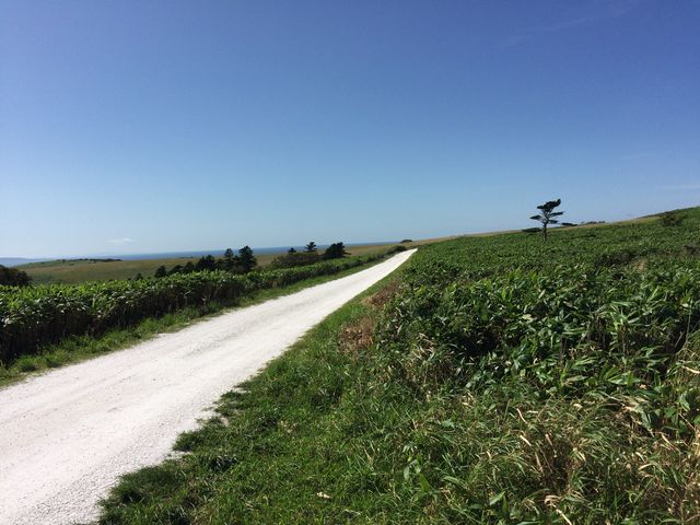 �������Q�l�R_�@�J�u��