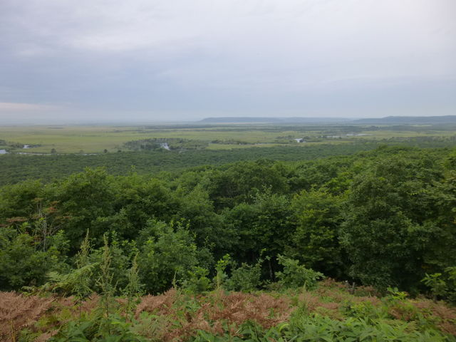�W�]�䂩��̒��߂ł��B_�׉��W�]��
