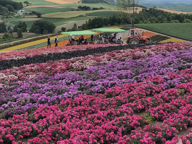 �u��ʂ̉Ԃ��O�~_�l�G�ʂ̋u