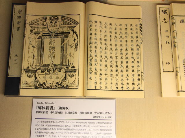 ��̐V��_�K�m