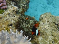 䂤̃I[VX^Cւ̓eʐ^1