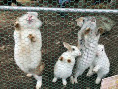 �Ȃ���̐��E�̉e�G�E����G�E�K���X�E�I���S�[�����p�قւ̓��e�ʐ^1