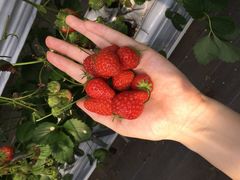 ҂̍䥗΂̃~[WA n[xXg̋uւ̓eʐ^1