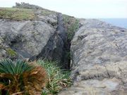 �Ðh�F����̋v���ǃo���̓��e�ʐ^2