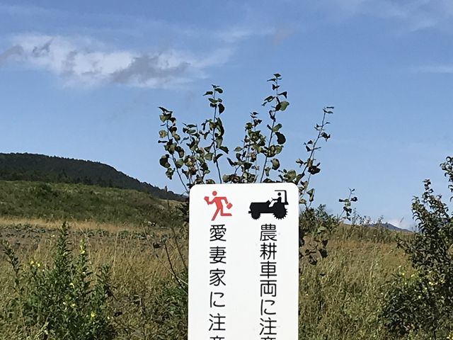 K̓HWpfBƂ͑_Ȕz_pm}Ck[g