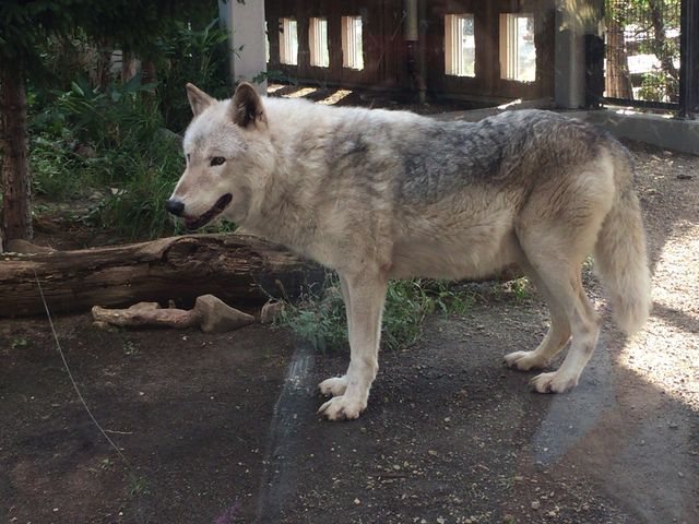 �T�B�����������B_�~�R������