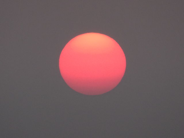 �[���z���ɏo�����z_�[���z��