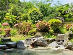 fPC̉_XJCzeւ̓eʐ^1