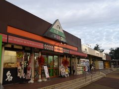 ʂ̓kԓT[rXGAijւ̓eʐ^1