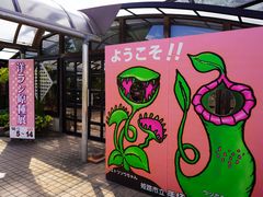 姫路市立手柄山温室植物園の口コミ一覧 じゃらんnet