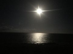 IL񂳂SeaChanΊ_ւ̓eʐ^1