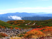 VR񂳂̏ƃGR[CiƊxj̓eʐ^1