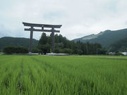 }o[̌FQw ӘH (ʖz)̓eʐ^1