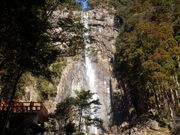 }o[̌FQw ӘH (ʖz)̓eʐ^3