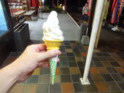 Ђ낳̂Ȃ픒X̓eʐ^2