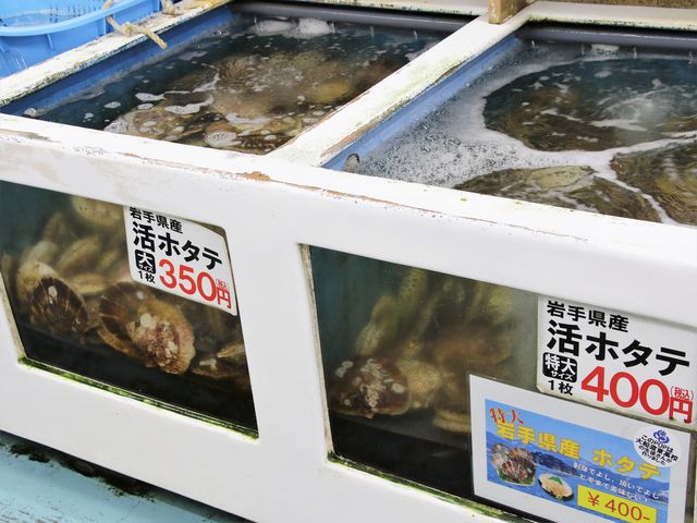 �z�^�e_���̉w ����肭 �O���ӂ邳�ƕ��Y�Z���^�[