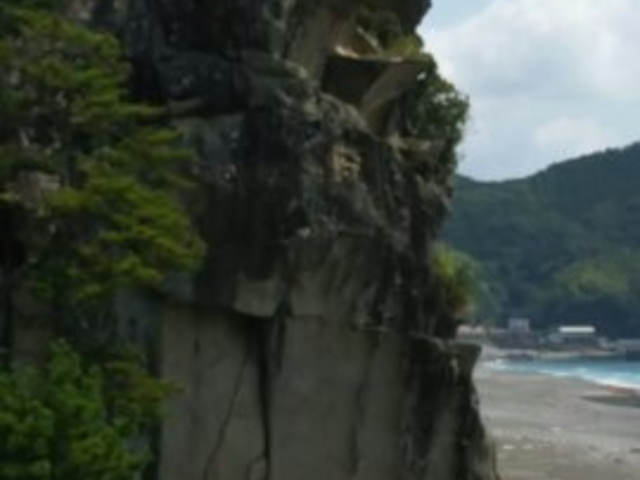 ���q�Ɏ��Ă邩�ȁH_���q��