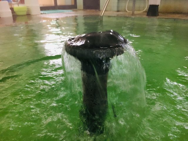 ܂Ƃ񂿂񂳂݂̂ǂ̓VR@V̓eʐ^4