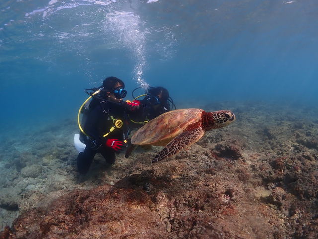 ��ڋ߁I�I�I_���v���_�C�r���O�K�C�h���S�n