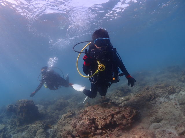 ���R�ɓ�����鑧�q(��)_���v���_�C�r���O�K�C�h���S�n