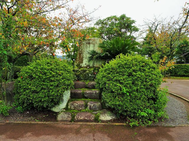 �g��������_�g��������