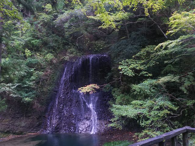 N͑ڂɍs܂B͓܂Bgt͂܂Ȃ̂AłgtĂ܂B_s