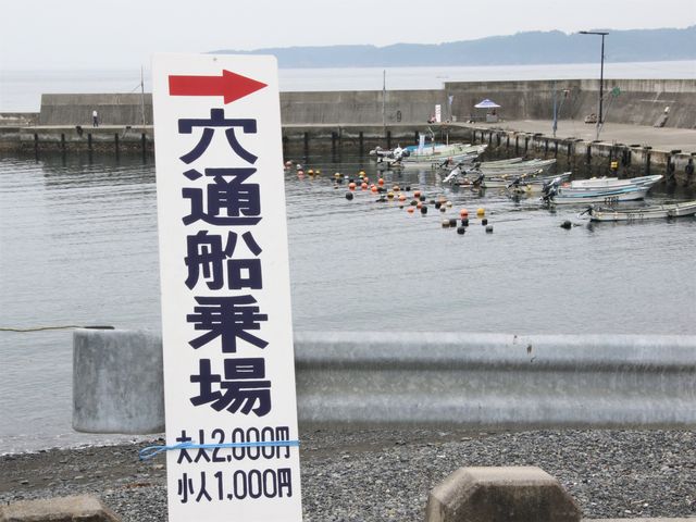 ��D��_��ΊC�݌��ʑD