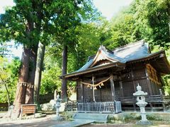 雷ちゃんさんの日枝神社（静岡県伊豆市）の投稿写真5