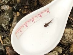 ؂̊όlbg[Nւ̓eʐ^1