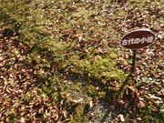 ӂ̂܂قiZ^[͊فj̓eʐ^1