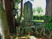 ������񂳂�̌��͗��̕�̓��e�ʐ^3