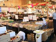 Ƃ񂳂̓̉w ̋̓eʐ^3