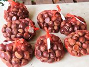 Ƃ񂳂̂ނYق̓eʐ^4