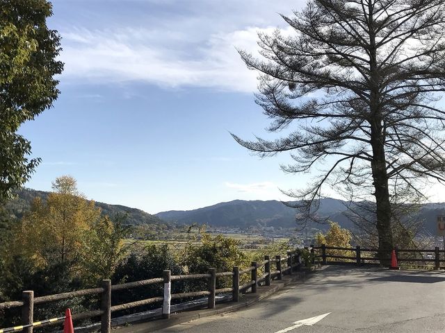 ����ɂ���̂Œ��߂������ł�_��������ۗ{�Z���^�[ �ʂ��X�̓�