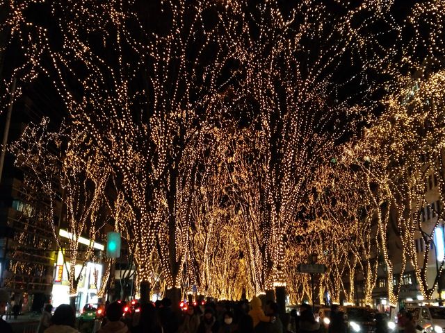 ��T���ʂ�̃C���~�l�[�V����_��T����