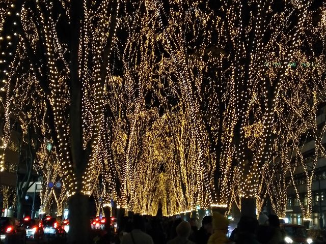 ��T���ʂ�̃C���~�l�[�V����_��T����