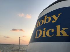 悵悵̖kJTZbgr[`ւ̓eʐ^1