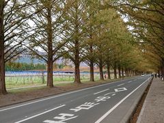 񂳂̃^ZRCA؂ւ̓eʐ^1