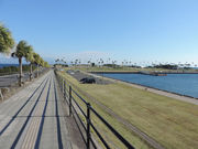 ���C����̃}�����|�[�g�������܂̓��e�ʐ^1