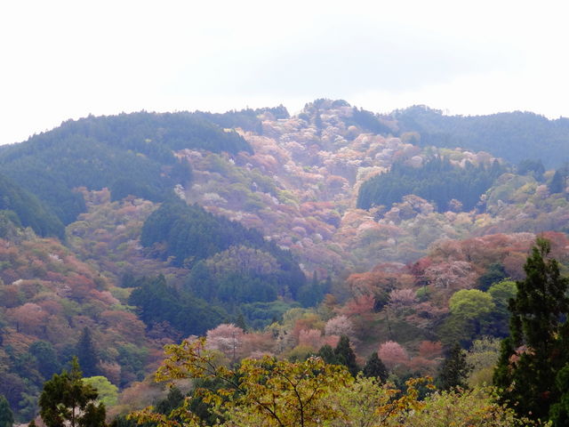 �g��R_�g��R