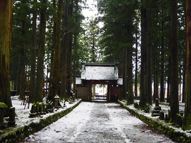 ���o�����܂��Ă�Ώ�̎Q��_�_����