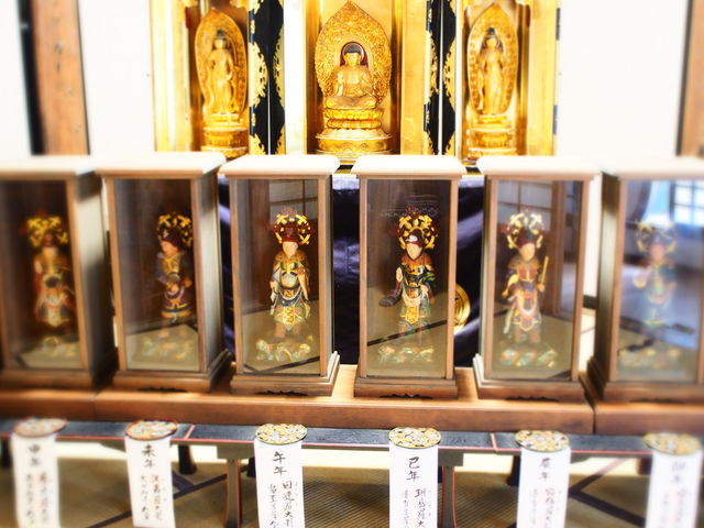 ��t�O���Ə\��x���{��_�_����