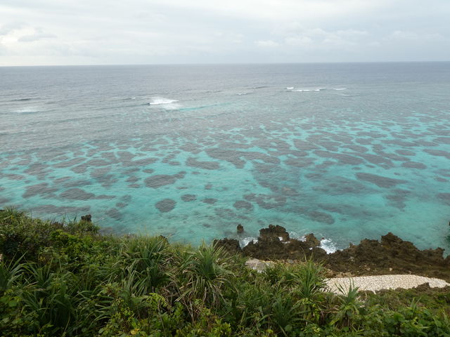 �O�C�̊C��̃T���S�ʂ��悭�����܂�_�C���M���[�}�����K�[�f��