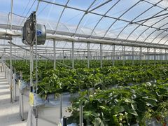 yuta46̂񂽃t@[ւ̓eʐ^1