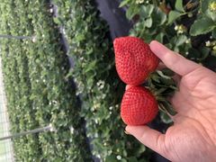 ͂Ƃۂ̂邤_ւ̓eʐ^1