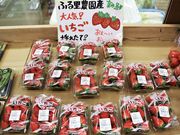 Ƃ񂳂̓̉w Zɂ킩̓eʐ^4