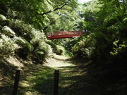 zin����̏t����Ղ̓��e�ʐ^3