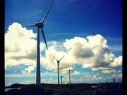 �Ȃ��n�`����̐���������̓��e�ʐ^1