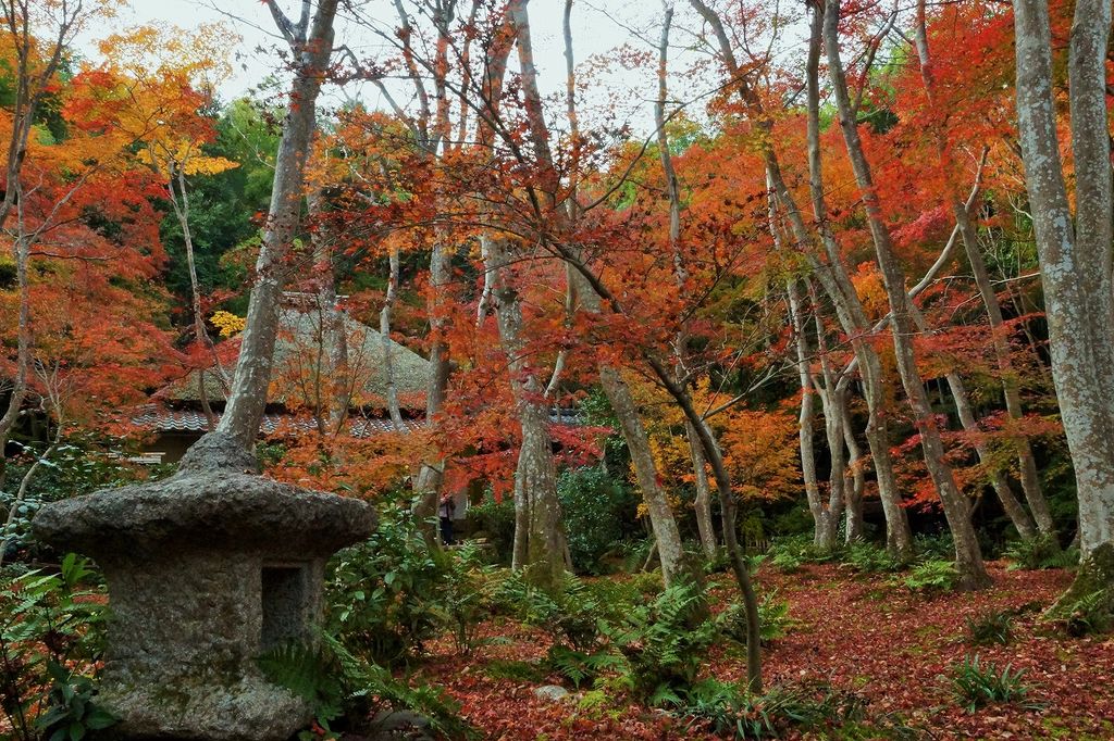 嵯峨嵐山駅周辺の神社 神宮 寺院ランキングtop10 じゃらんnet