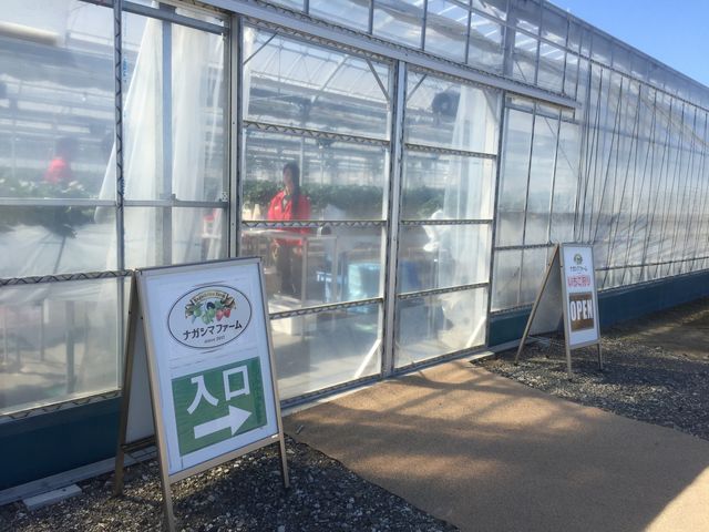 �C�`�S��_�i�K�V�}�t�@�[���@��������